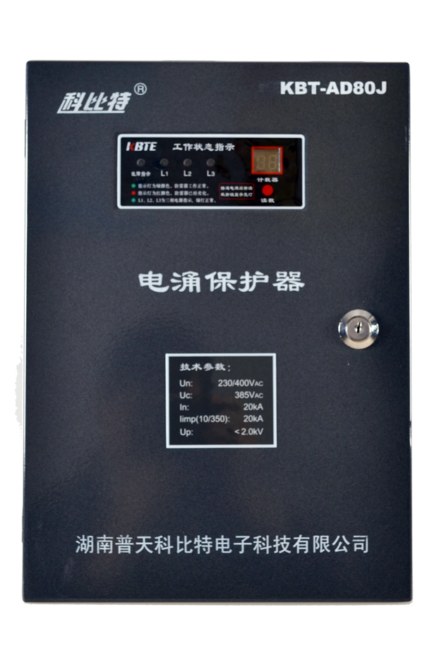 带雷电计数三相新利（中国）有限公司